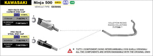 ARROW EXHAUST | Kawasaki NINJA 500 2024 | Nichrom Pro-Race silencer