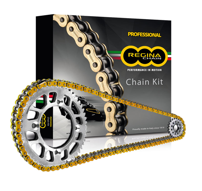 KT034 | REGINA CHAIN | KIT TRIUMPH TRIDENT 660 21-24