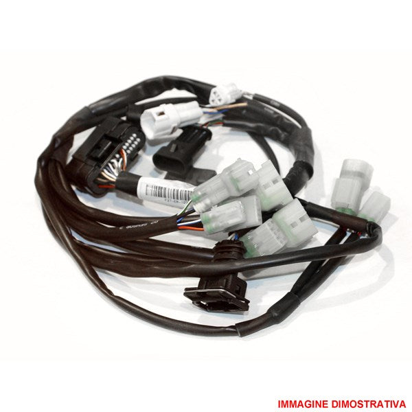 Rapid Bike Evo/Racing module harness kit KAWASAKI ZX-6R 2024
