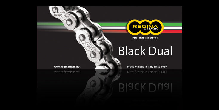 135ZRA/1010 |  REGINA CHAIN | CHAIN 135ZRA 114LKS BOXED W/C ONN.LK M42 AND RIVET LINK M19