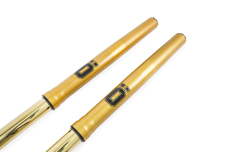 Öhlins Front Fork Adventure FFHO 101
