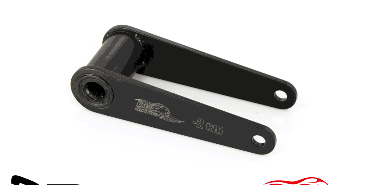 301807 | Free Spirits | Rear suspension lowering kit (-20 mm) for
