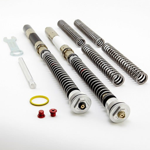 Front fork best sale shock absorber